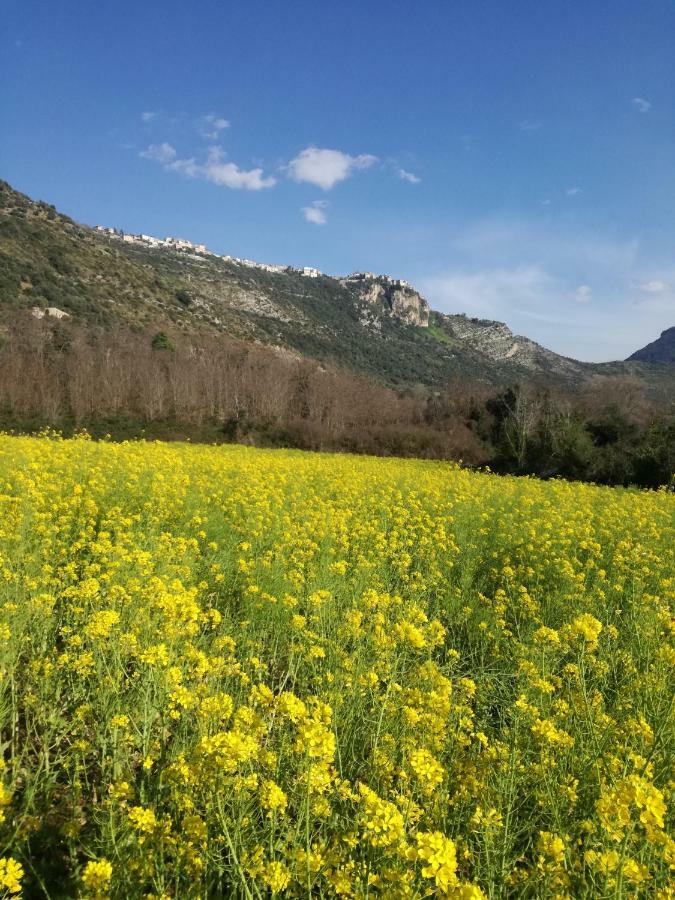 노르마 Casa La Calicchia 게스트하우스 외부 사진